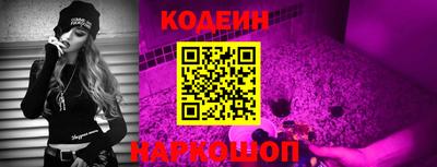 мдпв Славгород