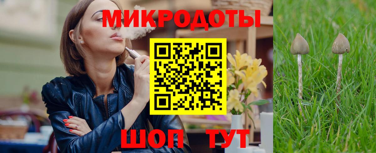 Галлюциногенные грибы GOLDEN TEACHER  закладки  Александров  Вход с VPN 